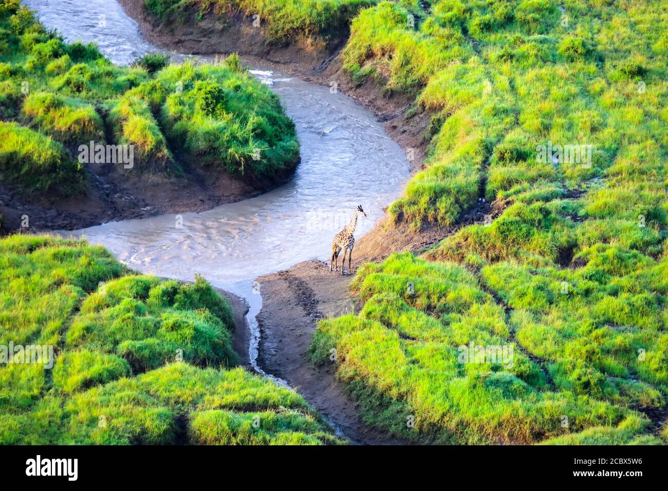 Hot air balloon ride over east africa bushland Stock Photo