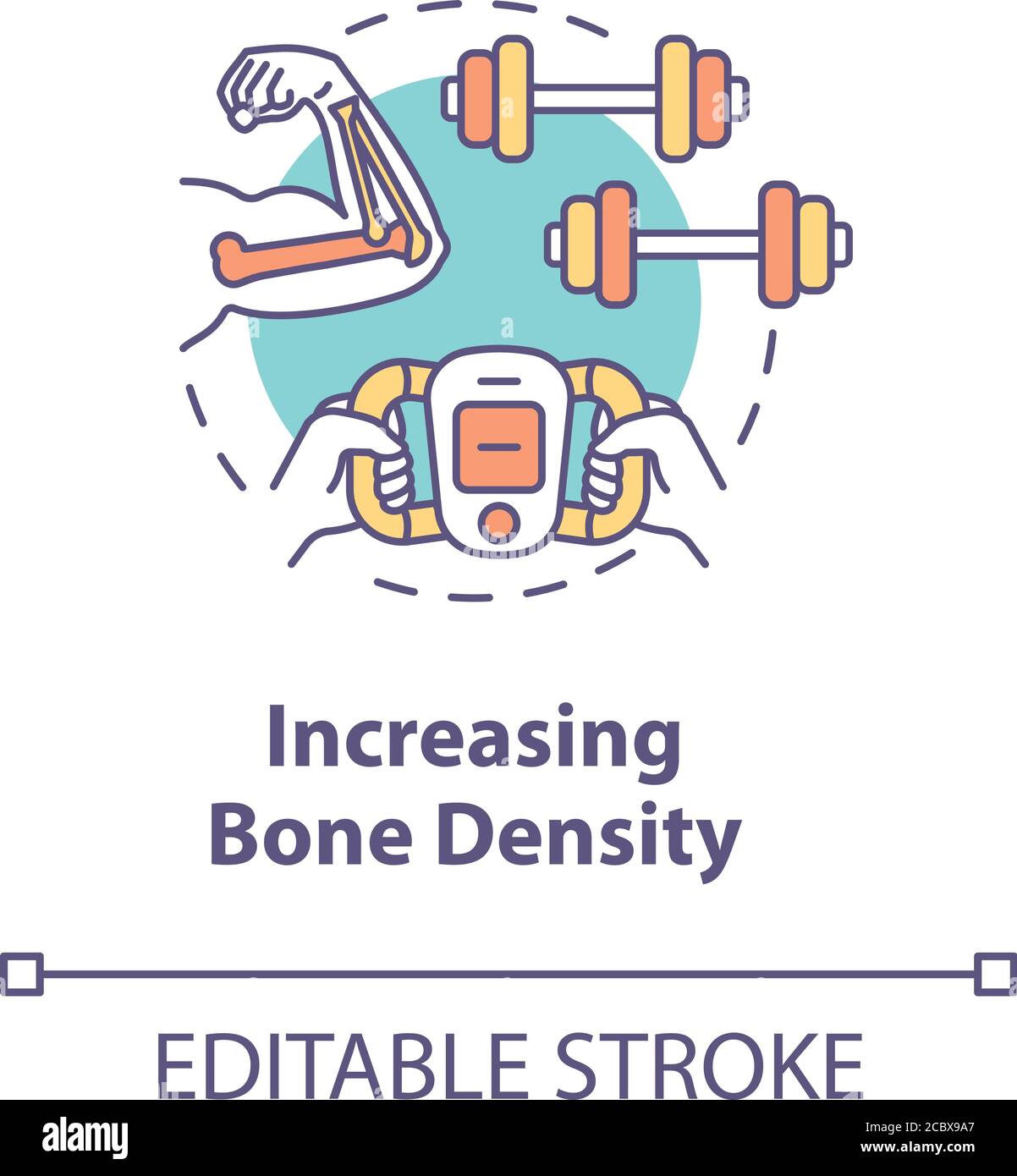 Bone density Stock Vector Images Alamy