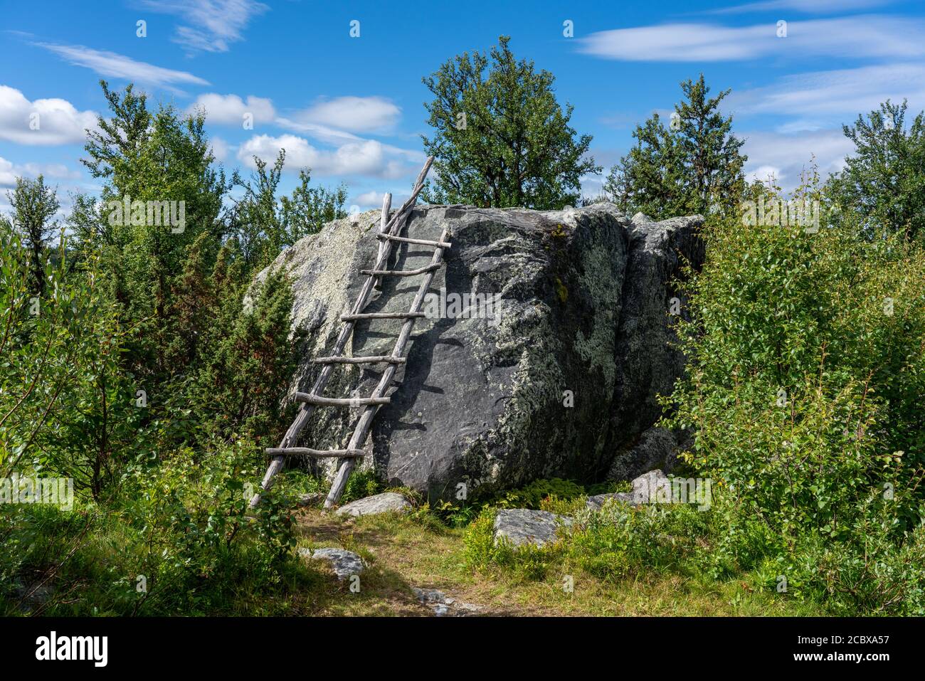 Climbing adder at large erratic left by retreating glacier and now surrounded by birch forest near Lenningen in Central Norway Stock Photo