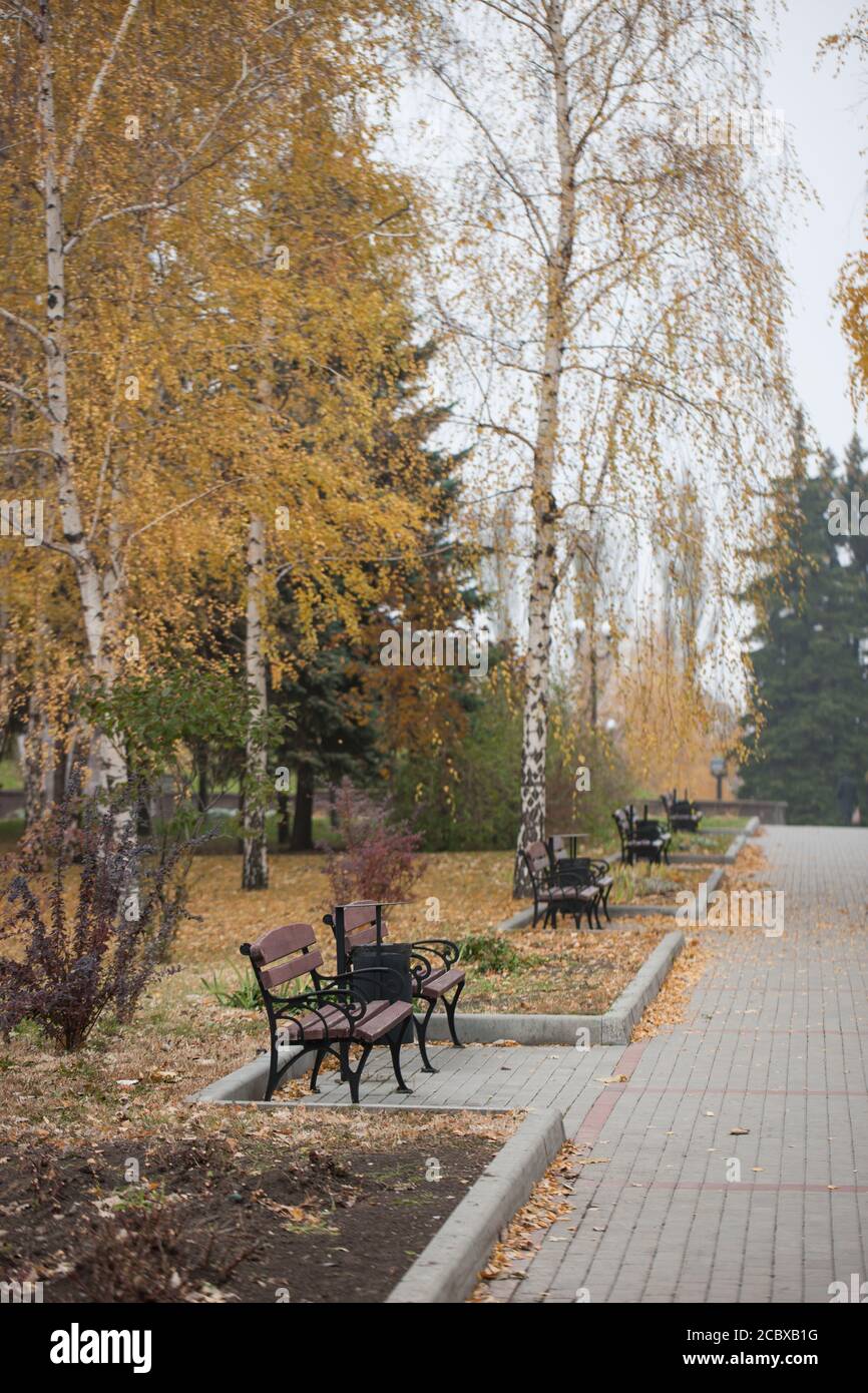Park with bench on alley in yellow autumn Stock Photo - Alamy
