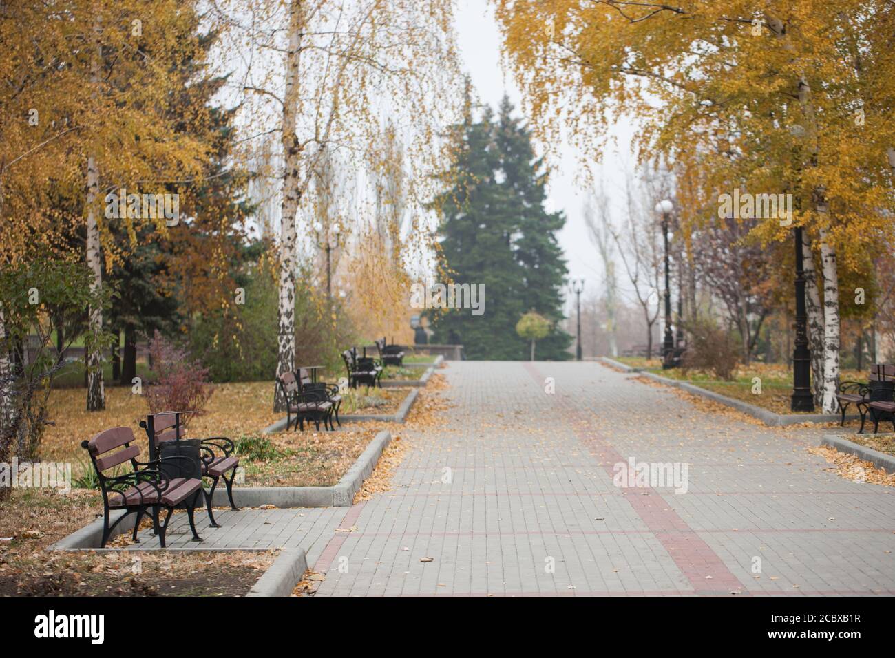 Park with bench on alley in yellow autumn Stock Photo - Alamy