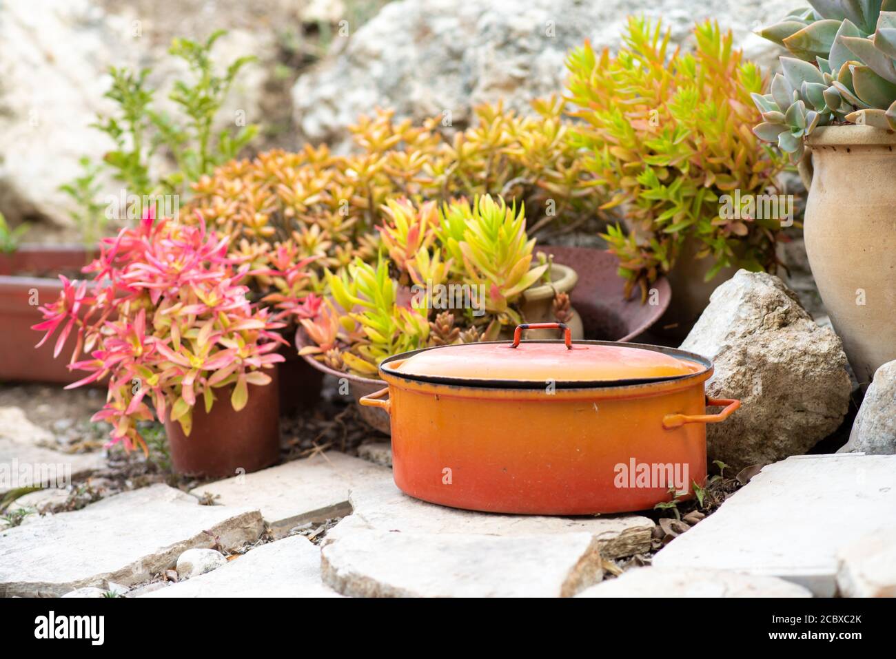 Recycled garden design and low-waste lifestyle. Reduce, reuse, recycle planter craft ideas. Stock Photo