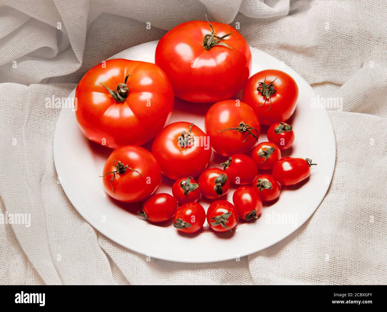 Tomato variety size selection on a white plate Stock Photo
