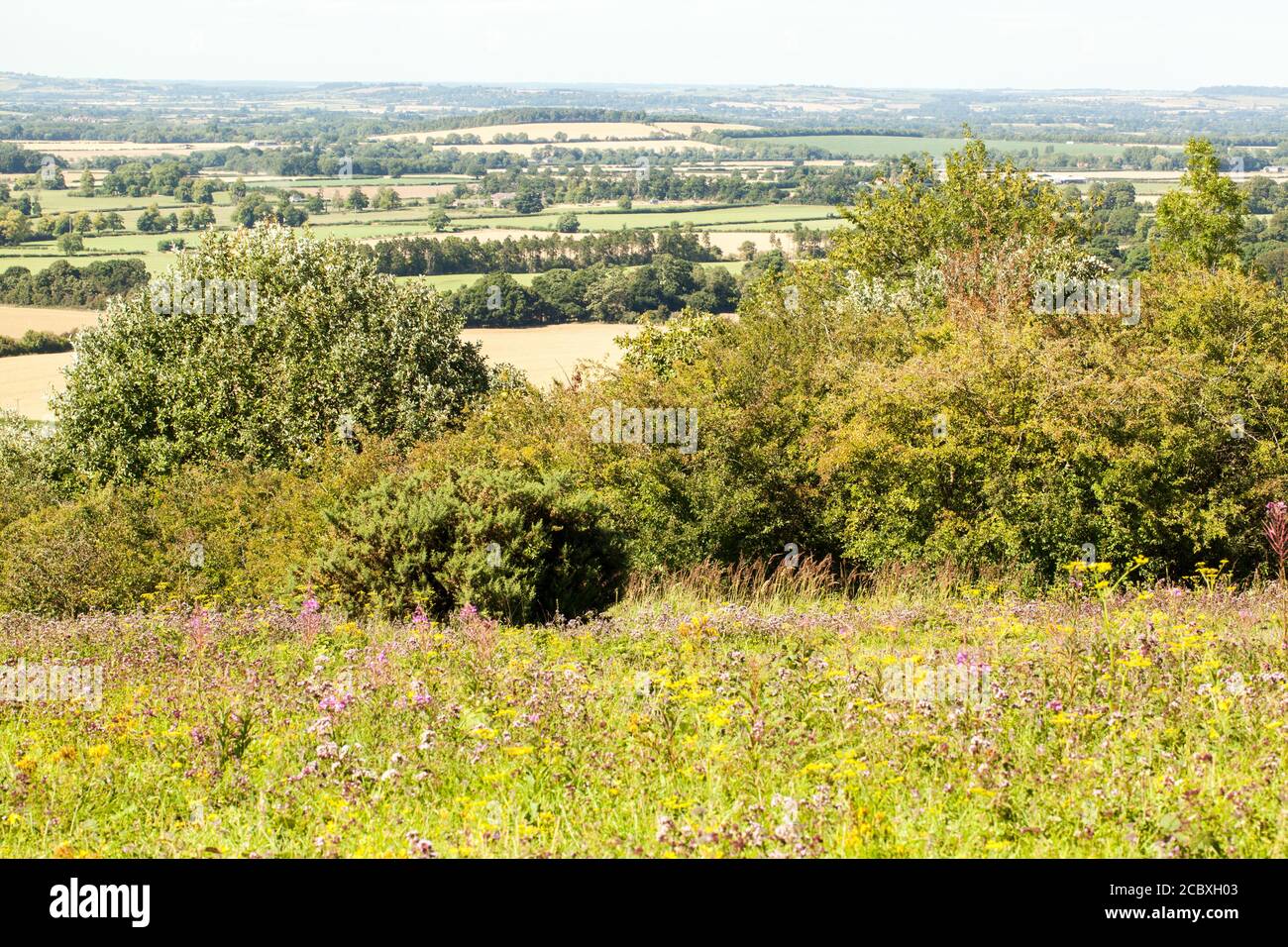 View from Watlington Hill  Oxfordshire, over the Chilterns landscape England UK Stock Photo