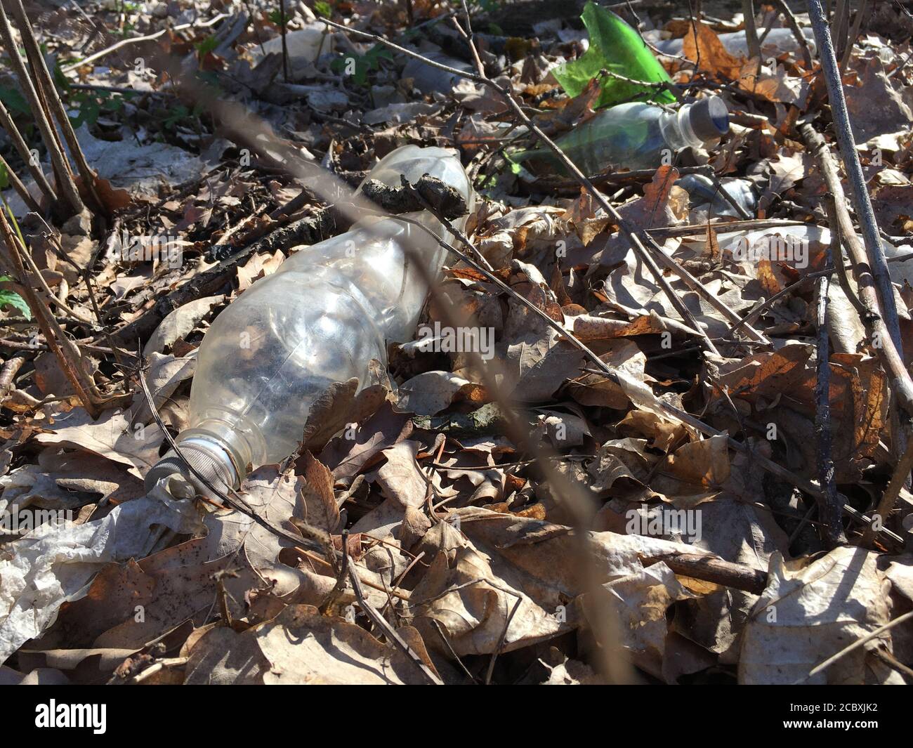 Plastic bottle in green grass on grass Stock Photo