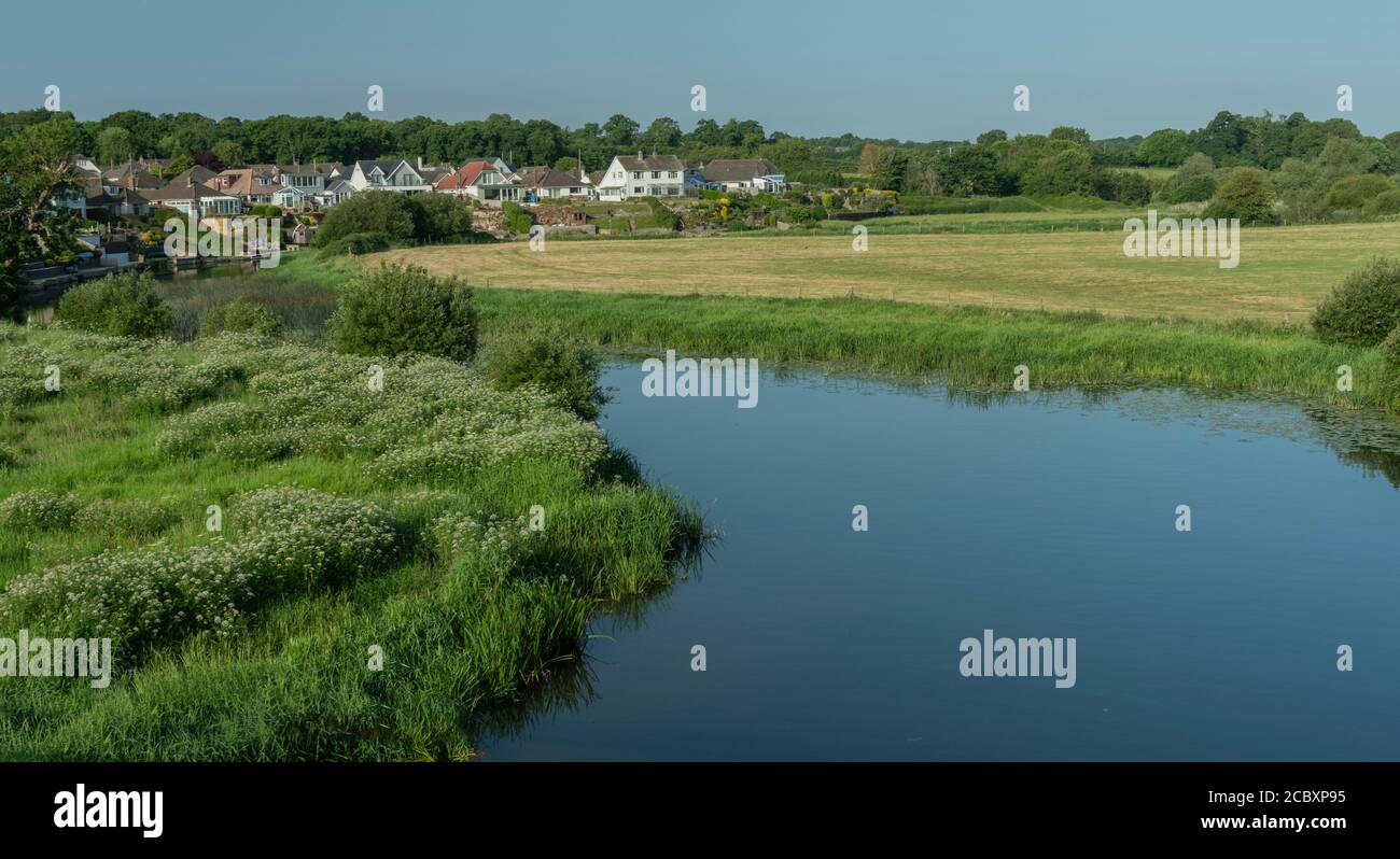 The valley and floodplain of the River Stour at Wimborne in summer, Dorset Stock Photo