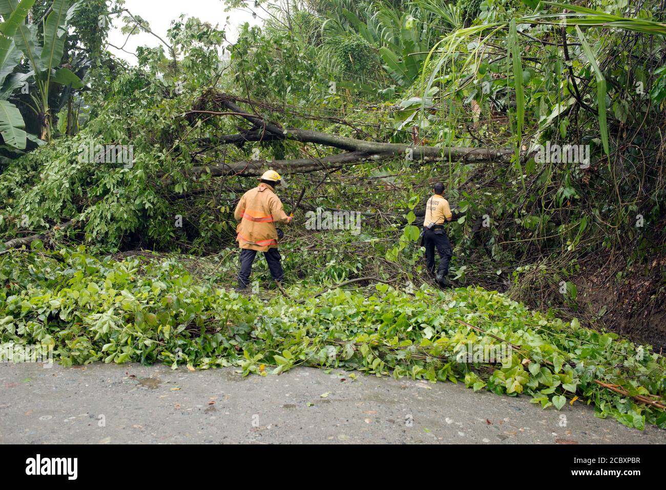 Hurricane Otto caused a landslide that blocked the road from Bribri to Suretka, Talamanca, Limón Province, Costa Rica on November 21, 2016. Stock Photo