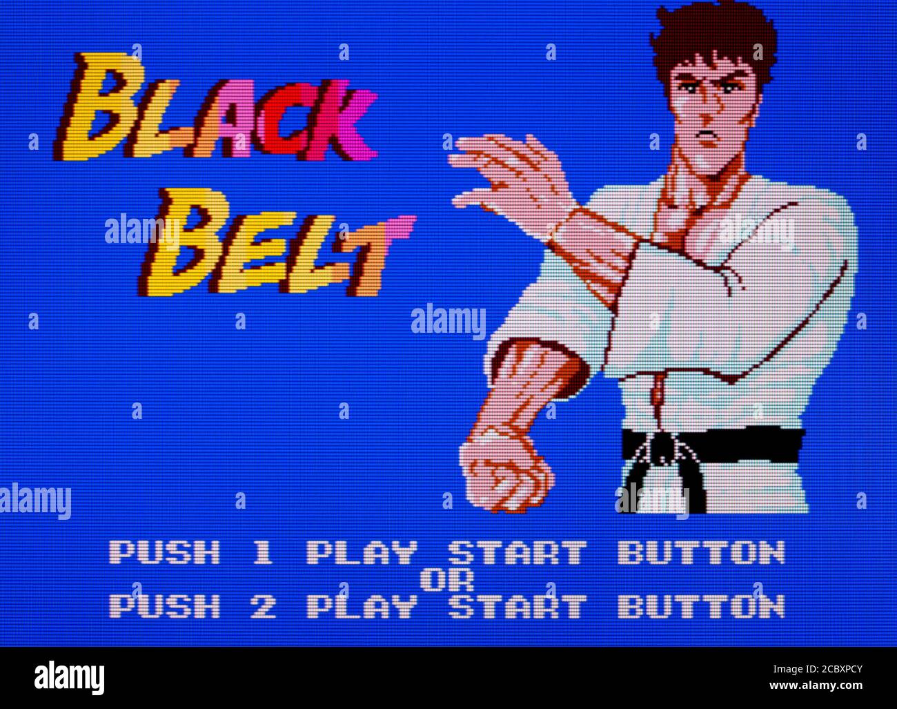 Black Belt Sega Master System SMS editorial use only Stock Photo Alamy