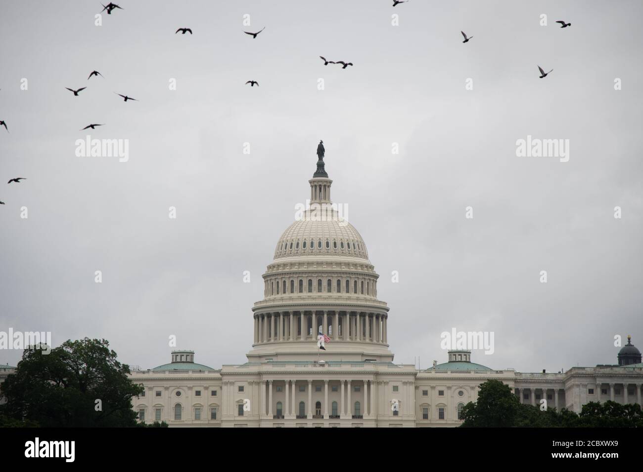 Washington, USA. 16th Aug, 2020. A general view of the U.S. Capitol Building on a rainy day in Washington, DC, on August 16, 2020 amid the Coronavirus pandemic. Today, as President Trump has to discredit mail-in voting, the House Oversight Committee announced an emergency hearing and invited recent Trump appointee, and Republican megadonor, Postmaster General Louis DeJoy to testify about ongoing problems with mail delivery ahead of the 2020 elections. (Graeme Sloan/Sipa USA) Credit: Sipa USA/Alamy Live News Stock Photo