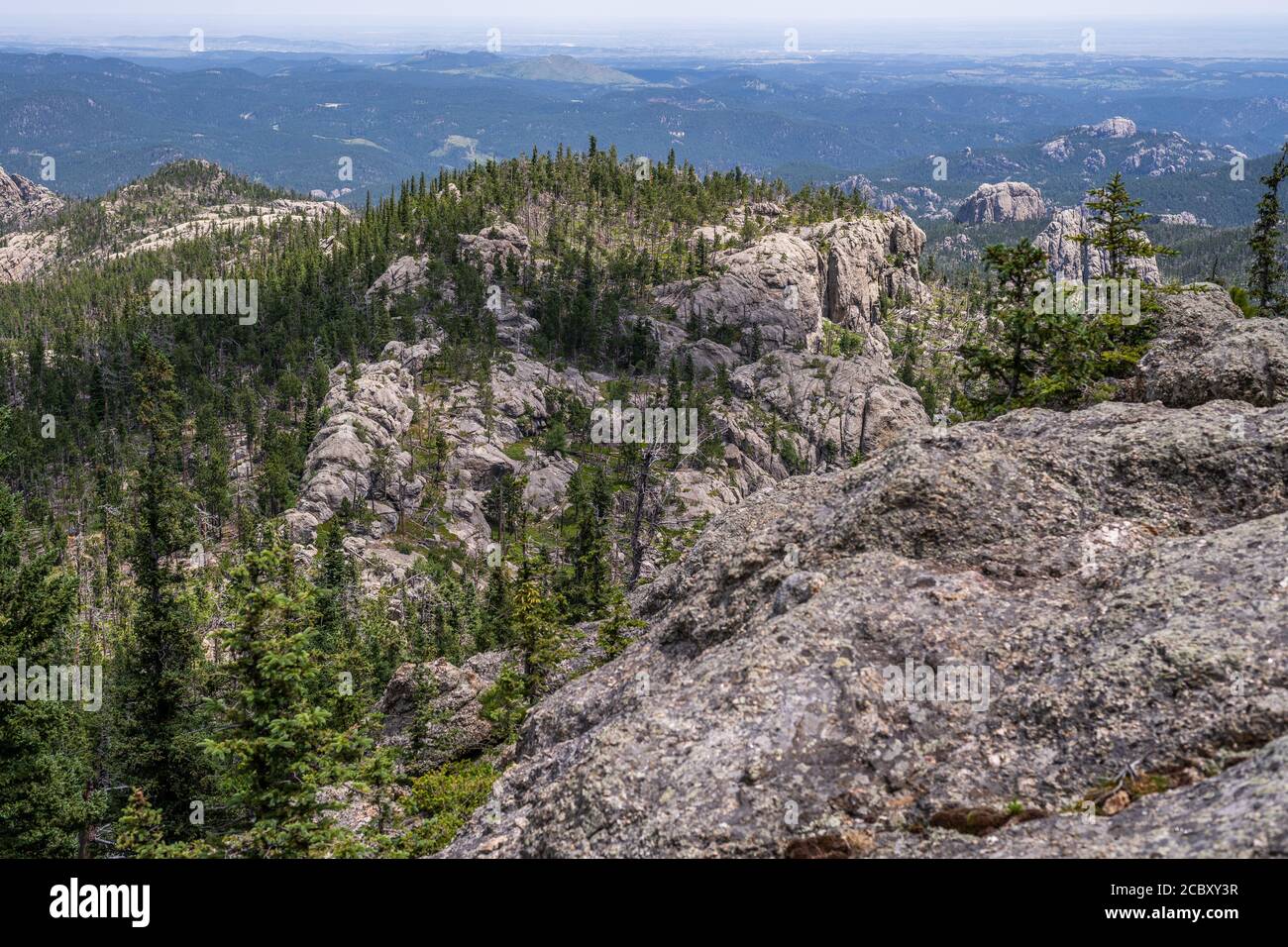 View along trail to Black Elk Peak, the highest point in South Dakota