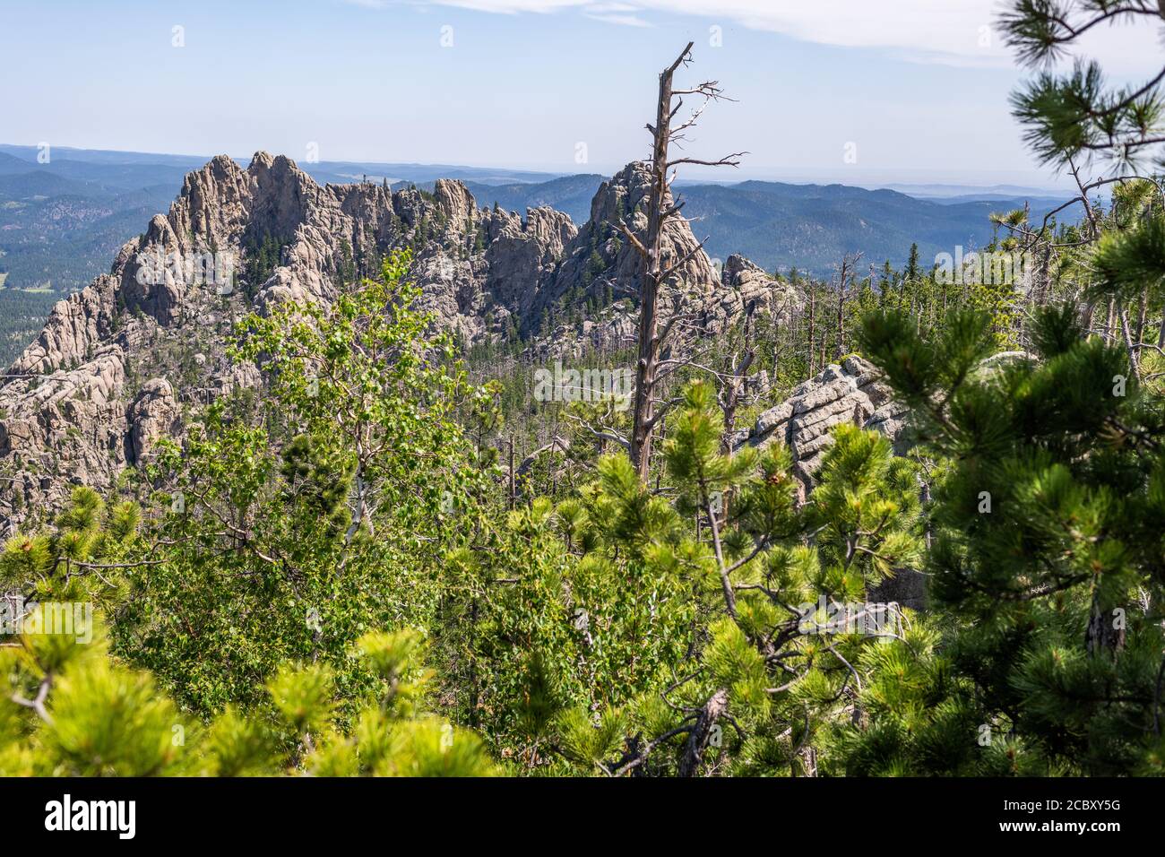 View along trail to Black Elk Peak, the highest point in South Dakota