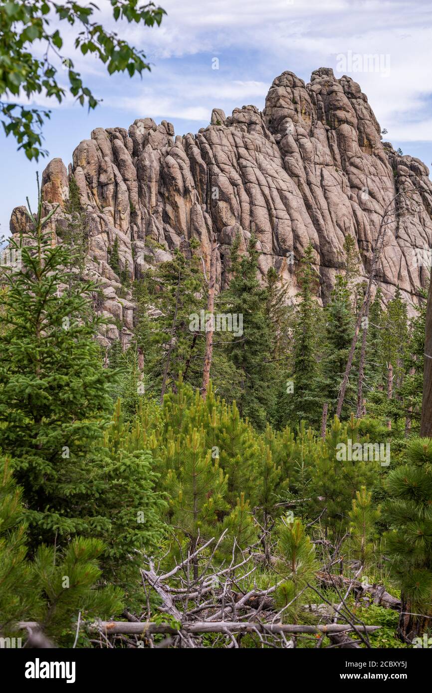 View along trail to Black Elk Peak, the highest point in South Dakota Stock Photo Alamy