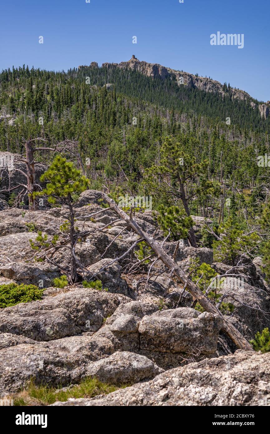 View along trail to Black Elk Peak, the highest point in South Dakota