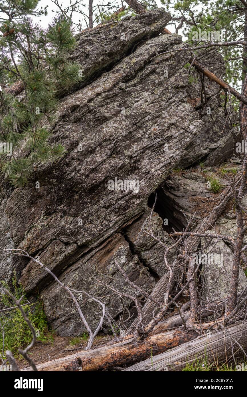View along trail to Black Elk Peak, the highest point in South Dakota
