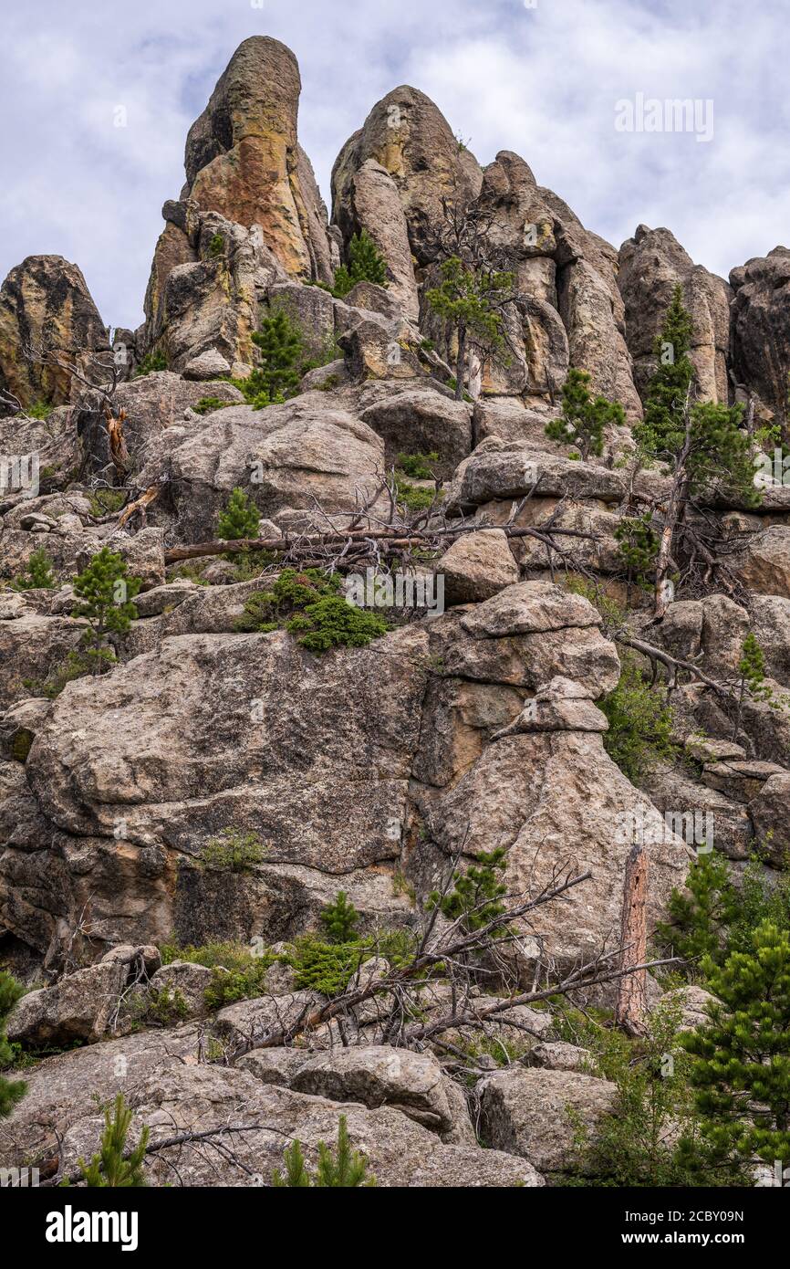 View along trail to Black Elk Peak, the highest point in South Dakota