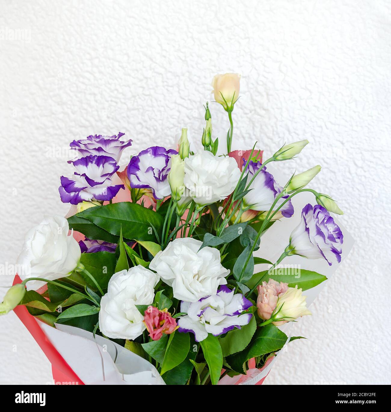 eustoma natural bright flower in a bouquet, a gift for the holiday on the table, close-up Stock Photo
