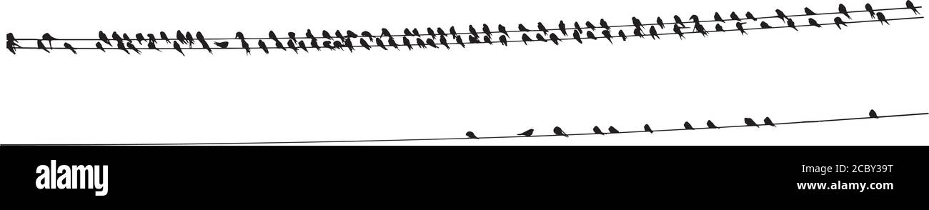Birds on wire. Vector image. White background Stock Vector Image & Art ...