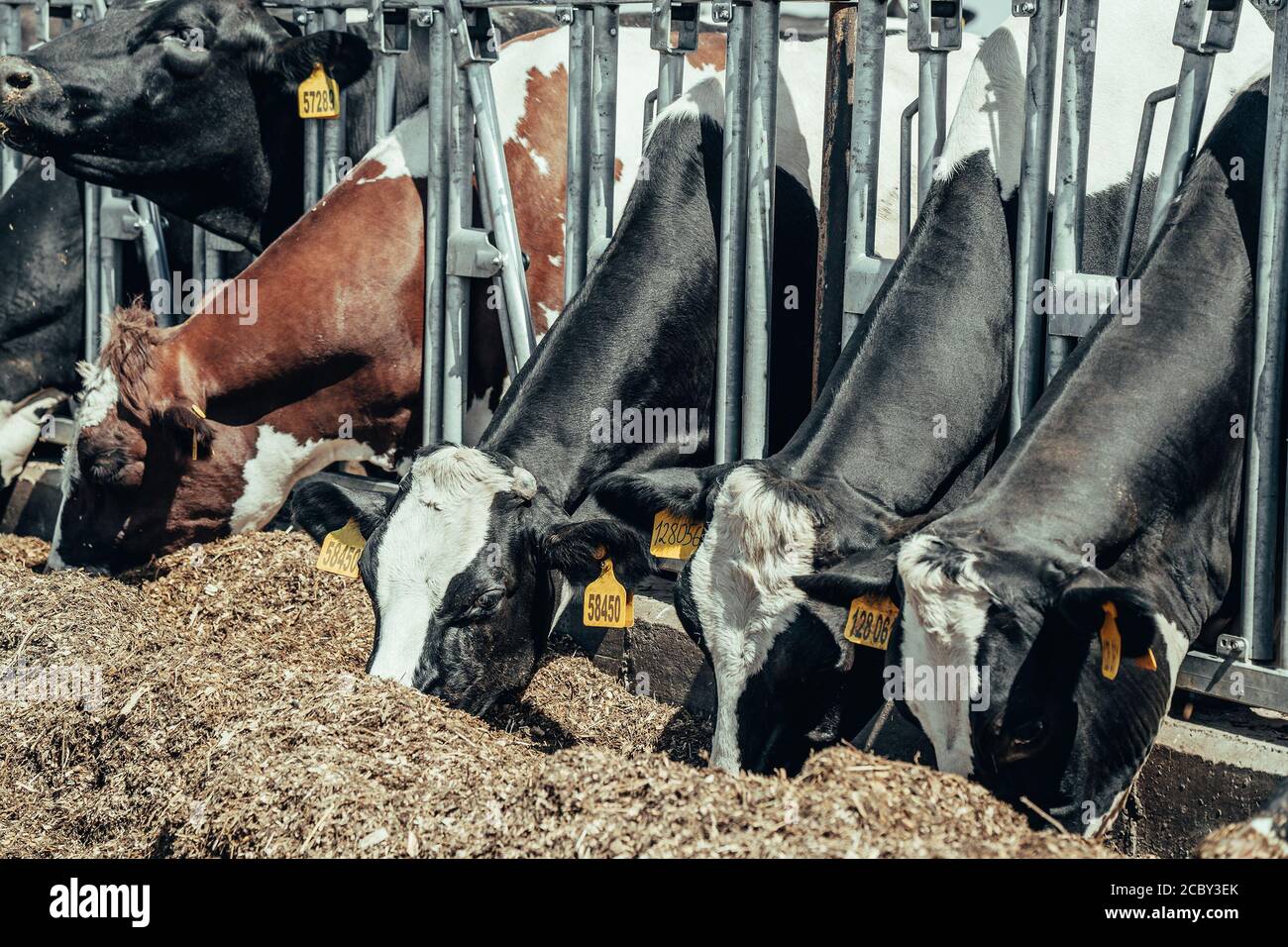 Animal husbandry articles
