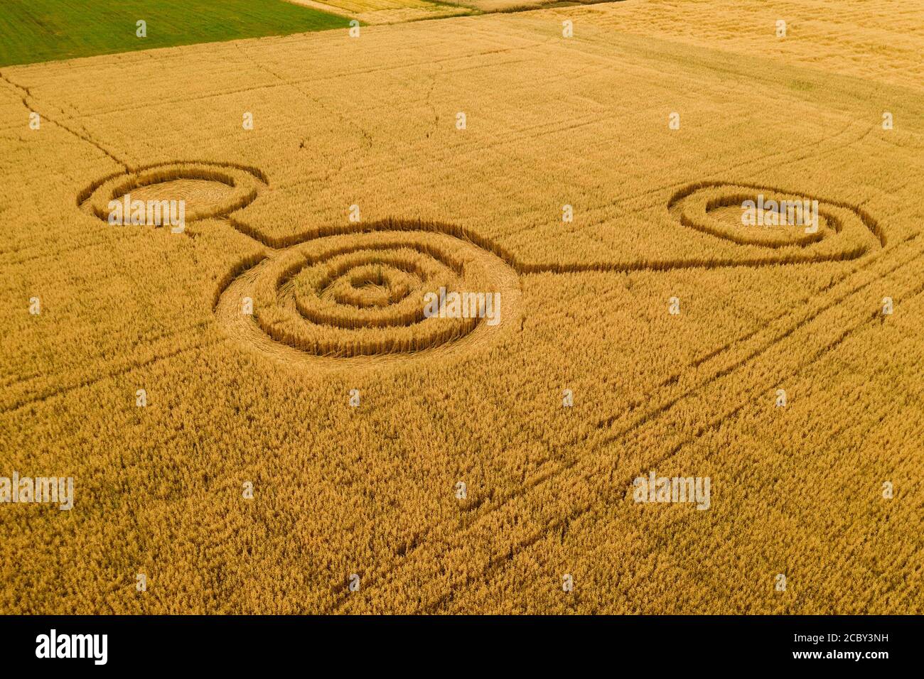 UFO circles on grain crop yellow field, aerial view from drone. Stock Photo