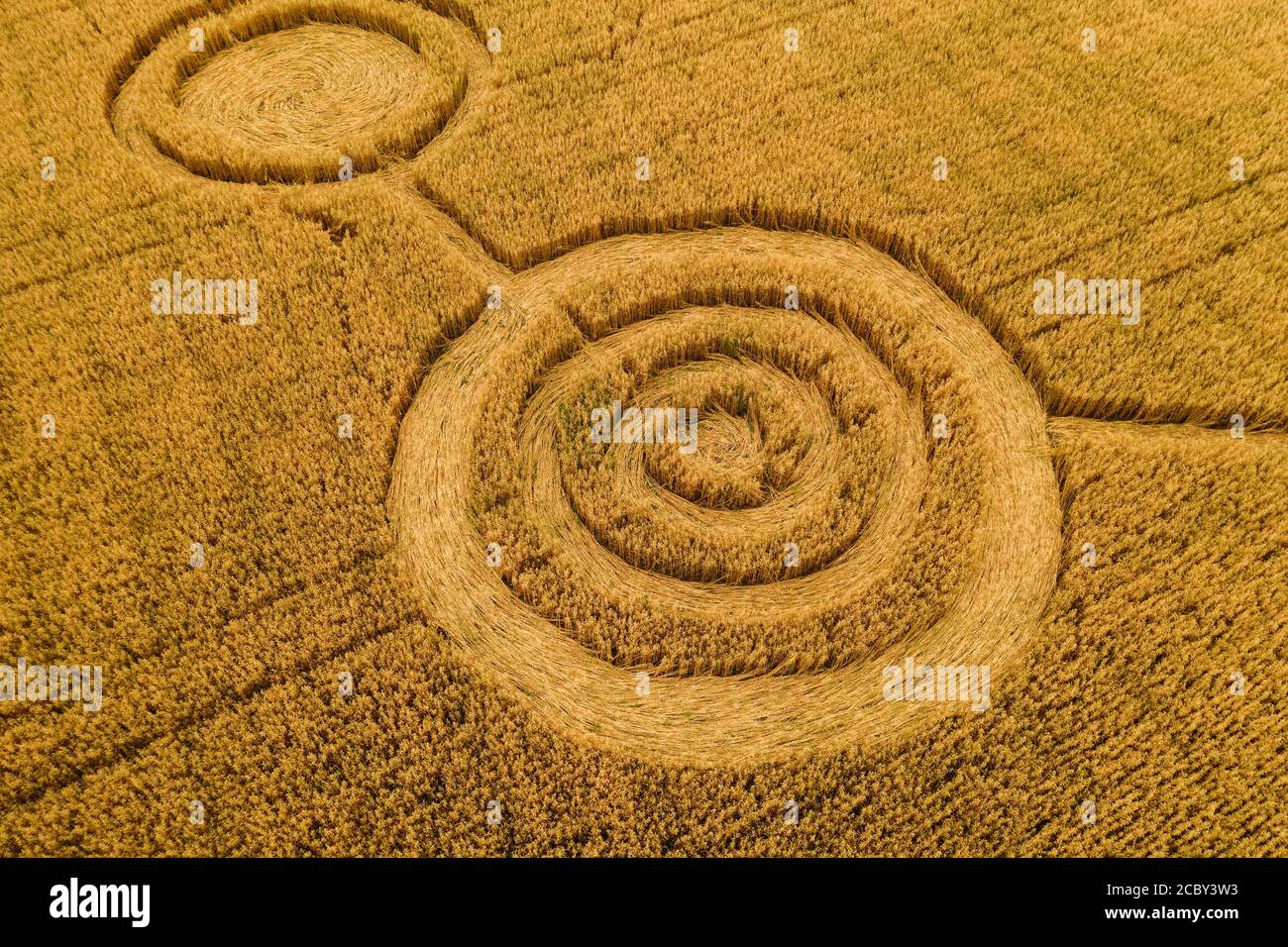 UFO circles on grain crop yellow field, aerial view from drone. Stock Photo