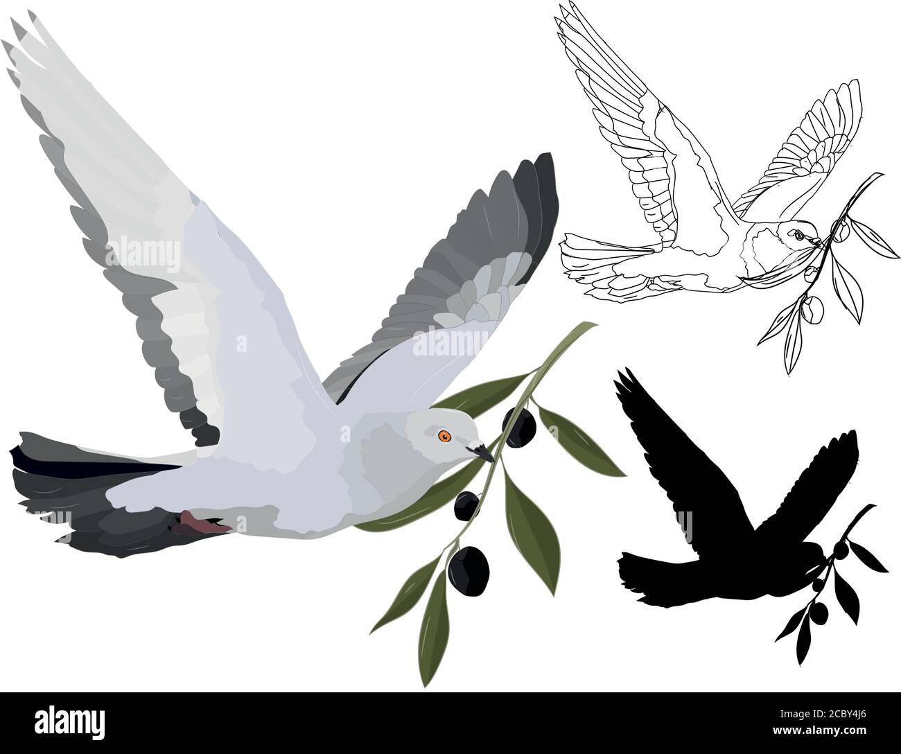 Flying bird. Vector birds. White background Stock Vector Image & Art ...