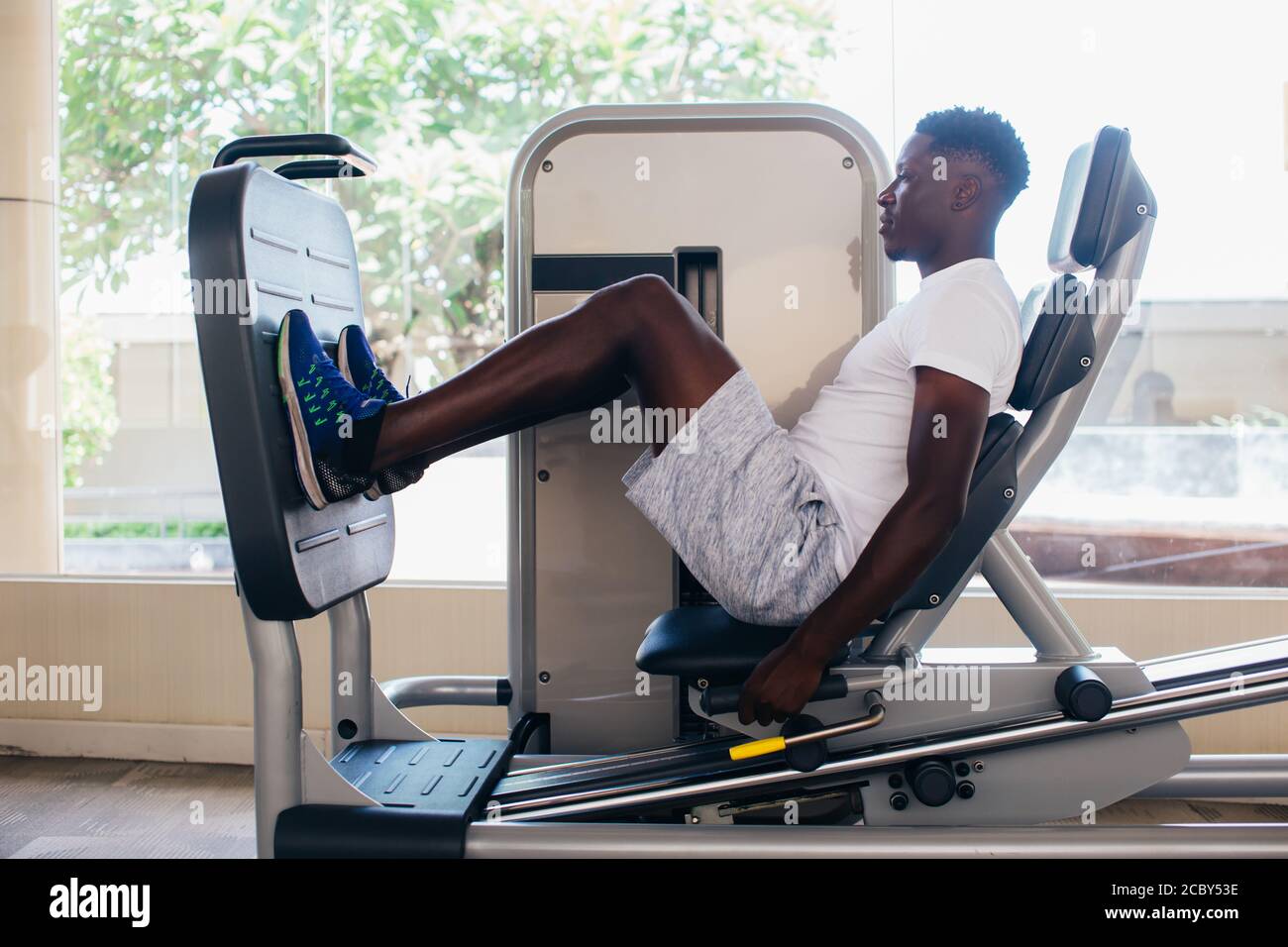 Leg press back sale