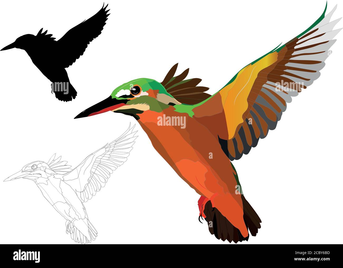 Flying Bird Vector Birds White Background Kingfisher Stock Vector