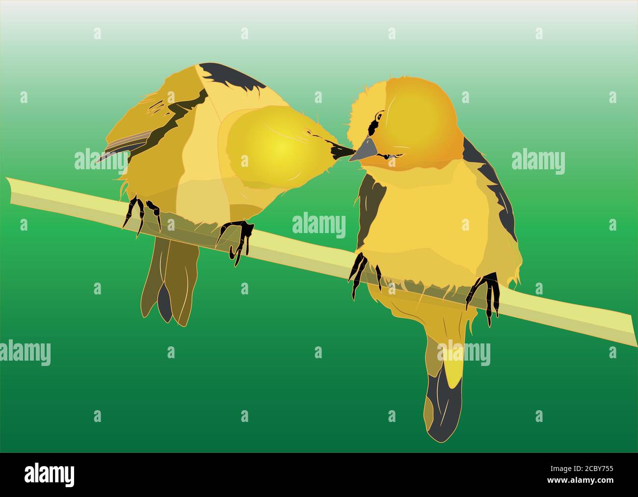 Cute little birds. Vector images. White background. Stock Vector