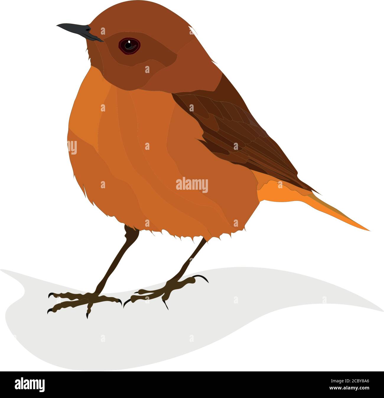 Cute little birds. Vector images. White background. Stock Vector