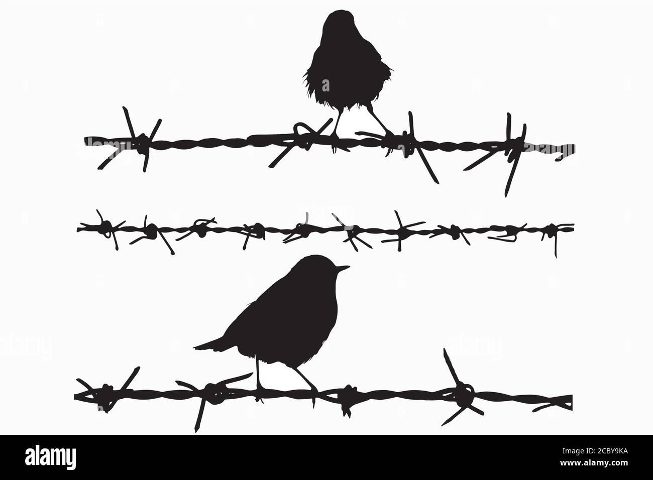 Birds on wire. Vector image. White background Stock Vector Image & Art -  Alamy