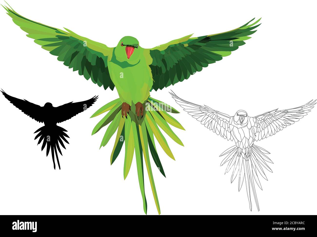 Green parrot. Vector images. White background. Stock Vector