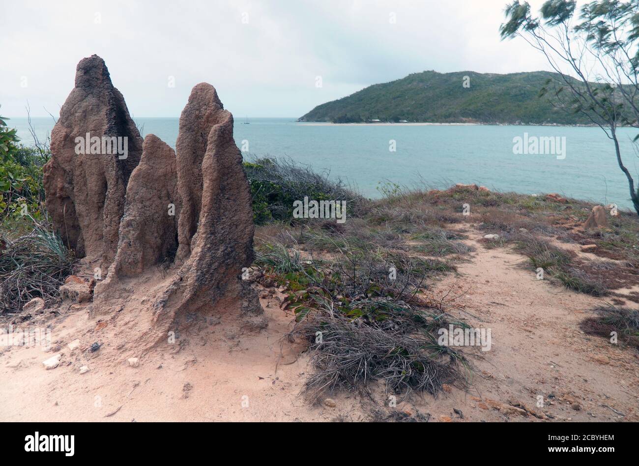 Termite mound on Cape Weymouth looking across to Restoration Island, Lockhart River, Cape York Peninsula, Queensland, Australia Stock Photo