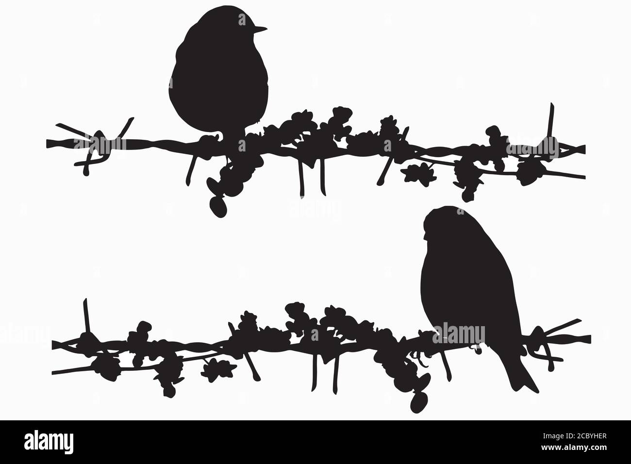 Birds on wire. Vector image. White background Stock Vector Image & Art ...
