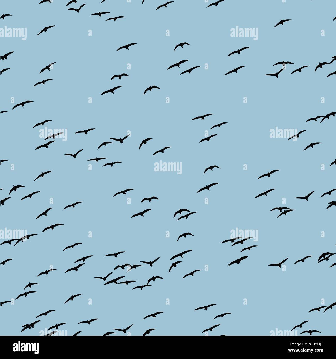 Birds. Vector image. White background. Seamless pattern. Stock Vector