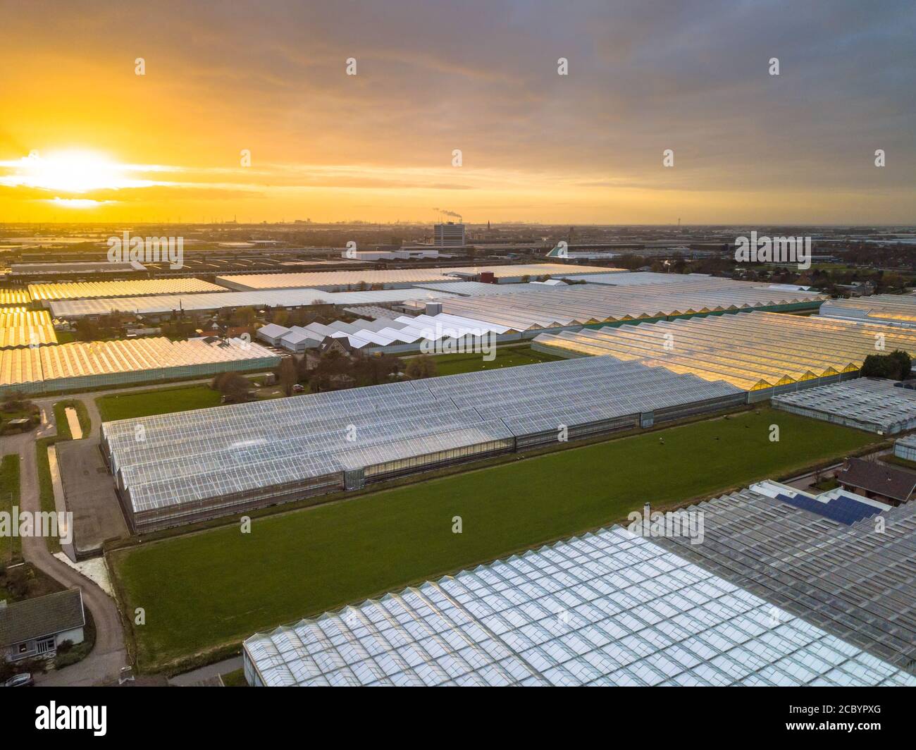 Aerial view of Westland or glass city Greenhouse horticulture area in