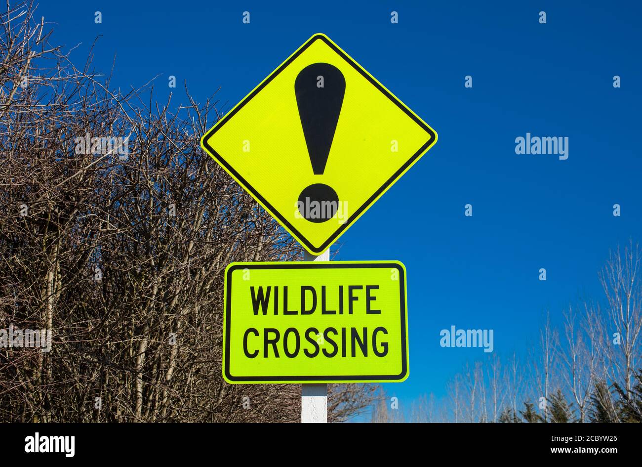 New Zealand Countryside Scenes: iconic road-signs and warnings Stock ...