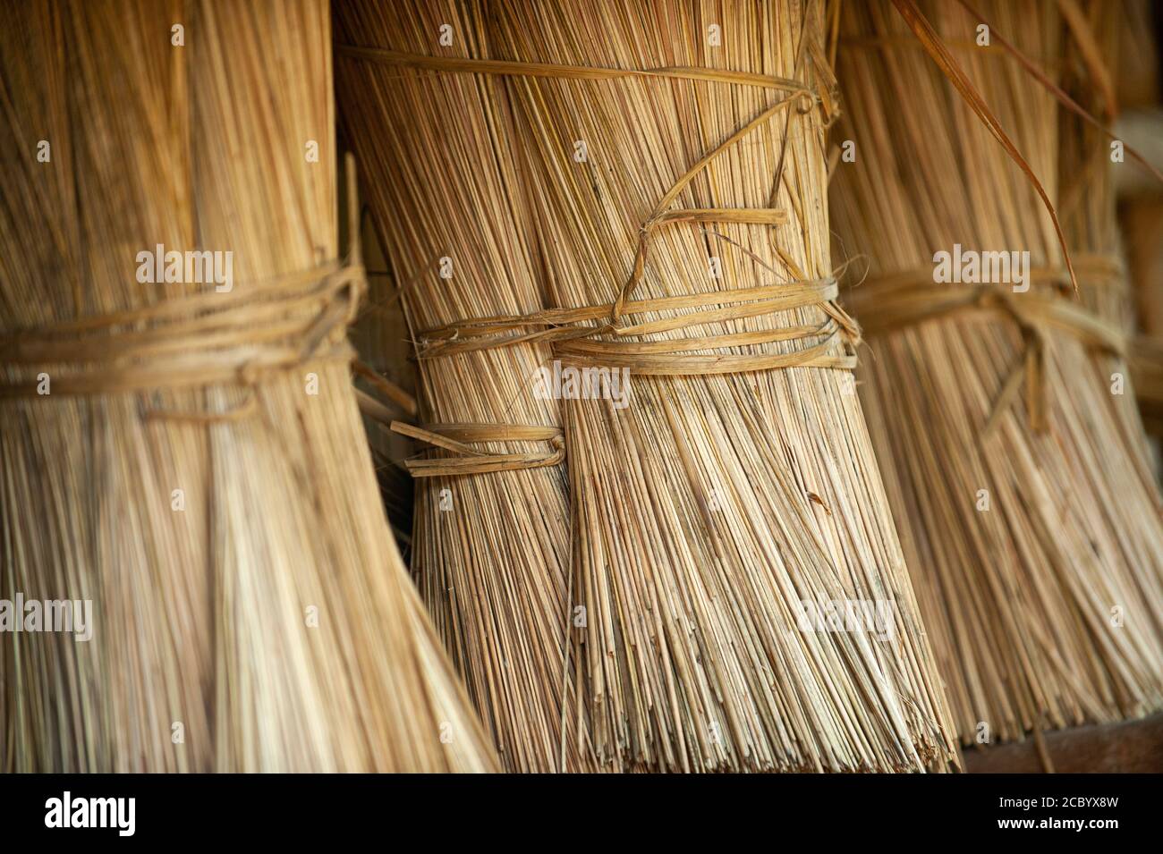 Papyrus is combined as a raw material for use in weaving mats Stock