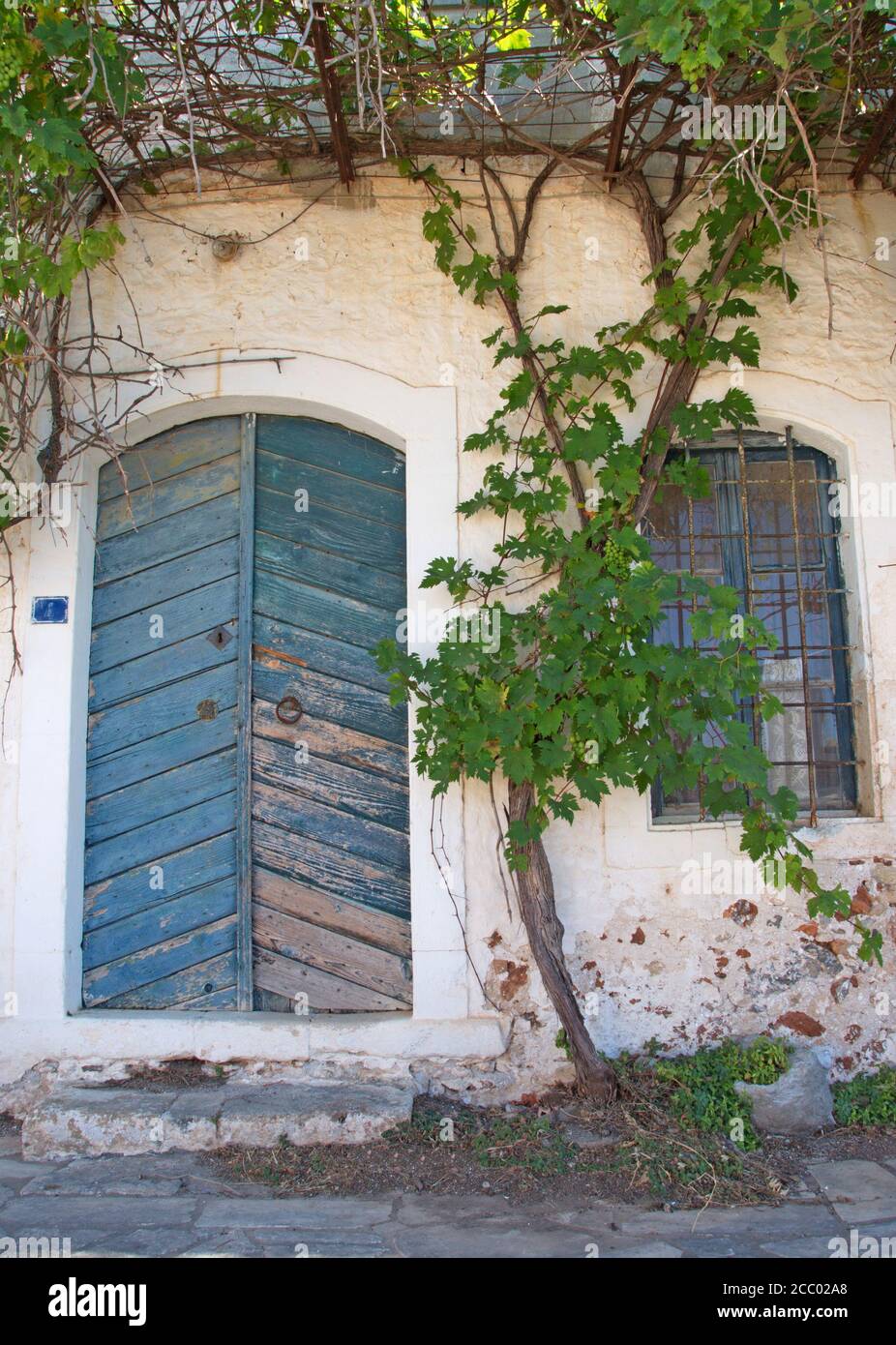 Traditional blue door of a Greek village house with grapevine Stock ...