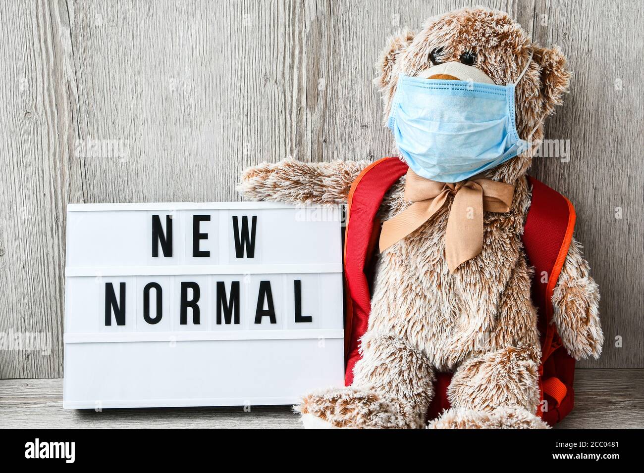 bear wearing backpack