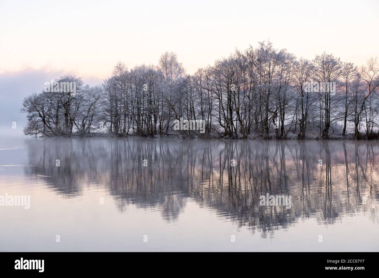 Snowy trees near the lake with reflections in the water on a foggy day ...