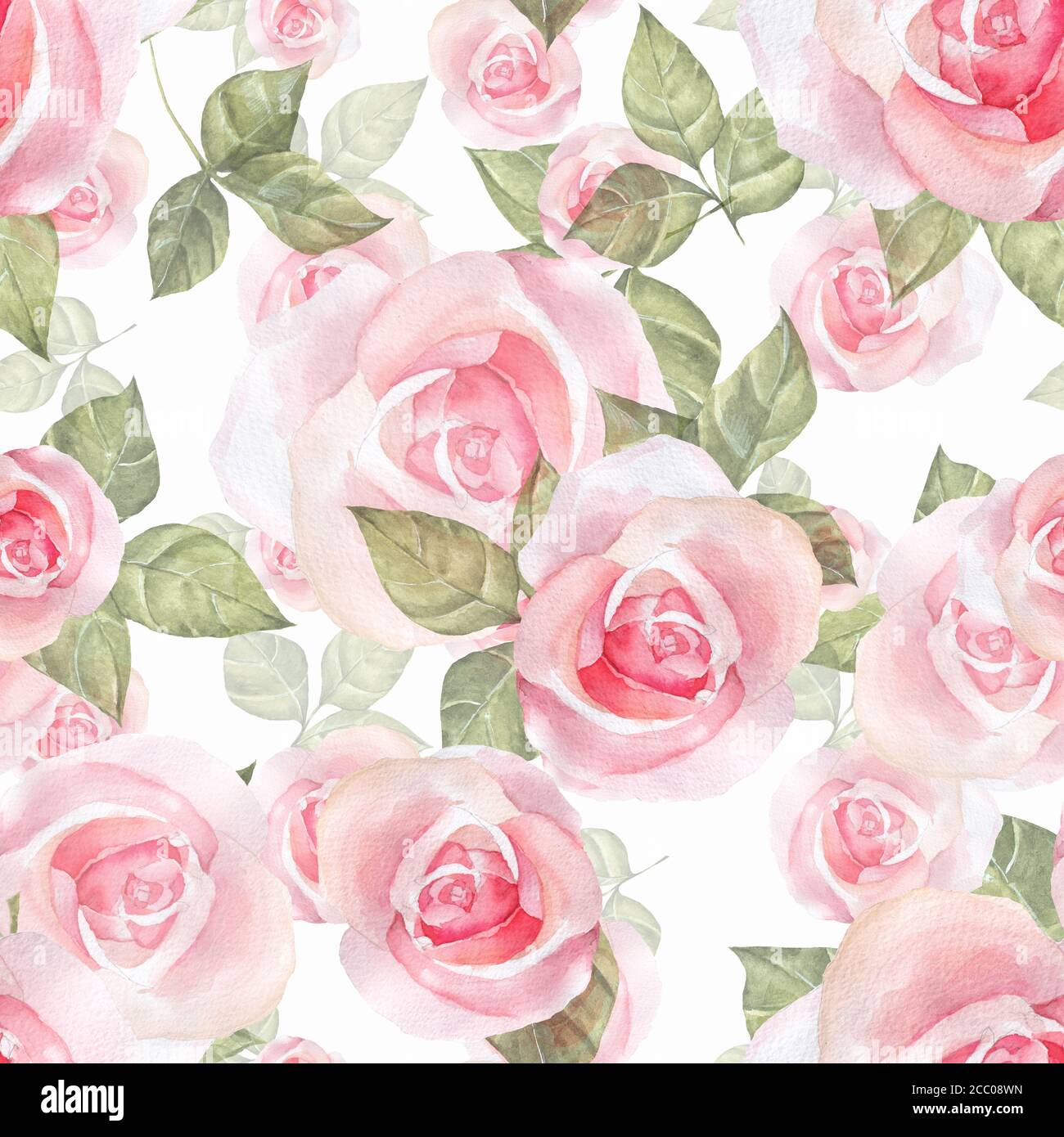 Delicate roses. Hand drawn watercolor floral seamless pattern Stock ...