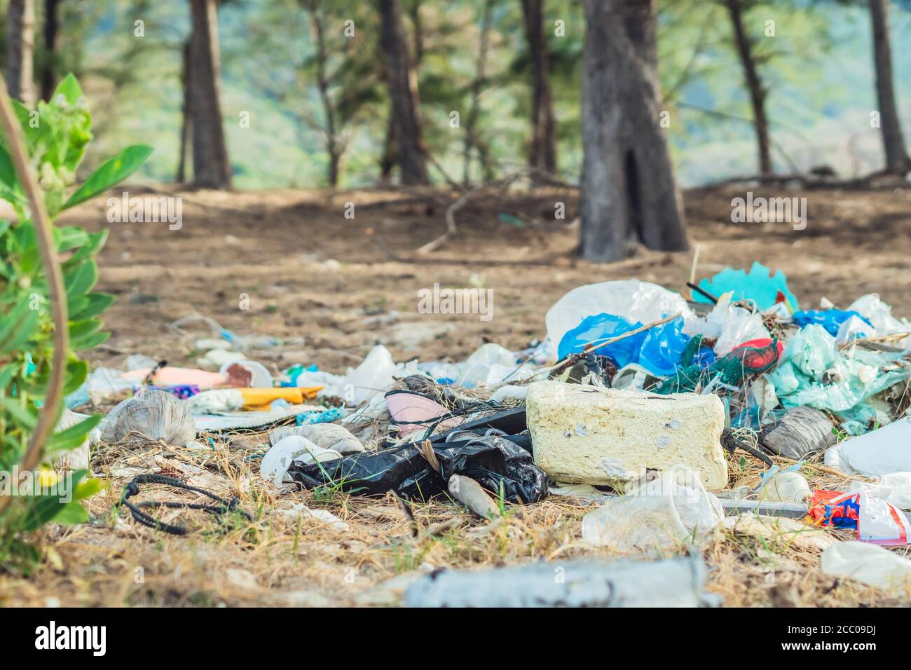 Spilled recycling garbage in park forest. Empty used dirty waste plastic bottles and carton paper boxes. Environmental total pollution, ecological Stock Photo