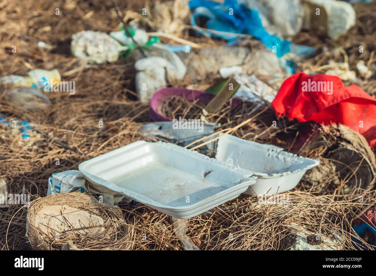 Spilled recycling garbage in park forest. Empty used dirty waste white foam plastic disposable lunch food box Environmental total pollution Stock Photo