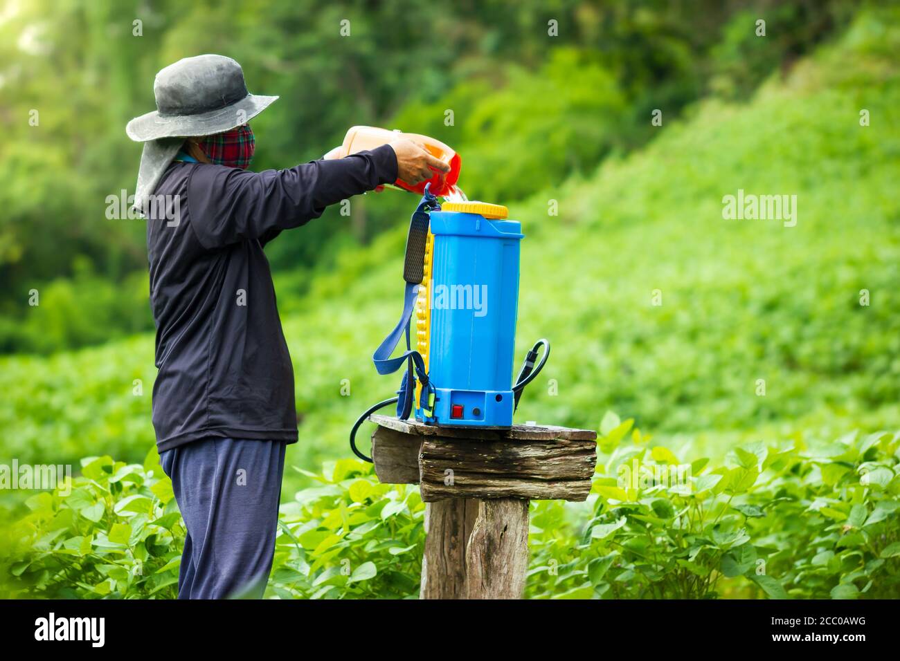 Farmers are preparing insecticide spraying in soybean field. Copy space for text. Concept of campaigning to stop using insecticide and herbicides in a Stock Photo