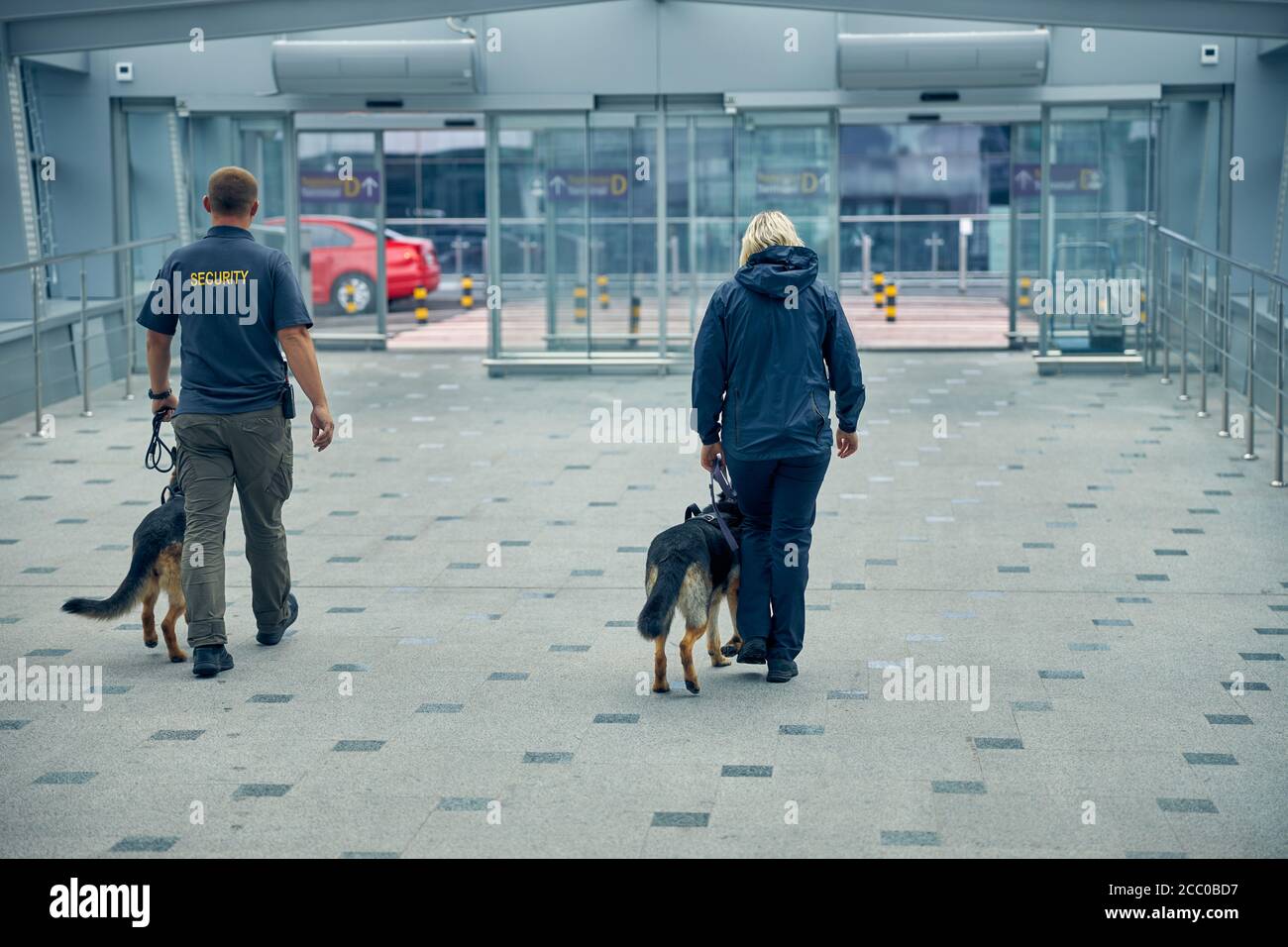 Security officers walking with dogs in airport terminal Stock Photo Alamy