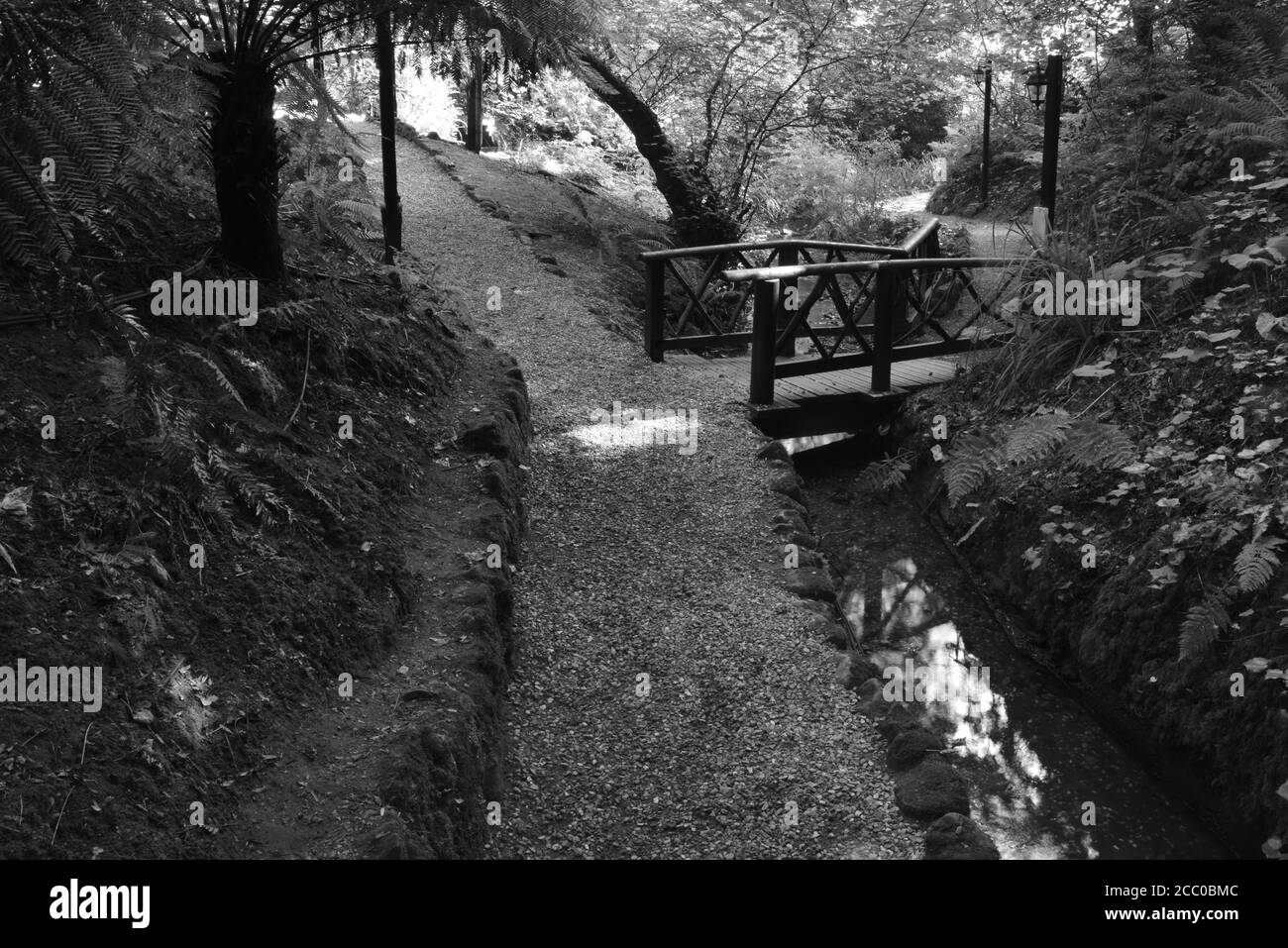 A country walk through the Shanklin Chine in the Isle of Wight Stock Photo