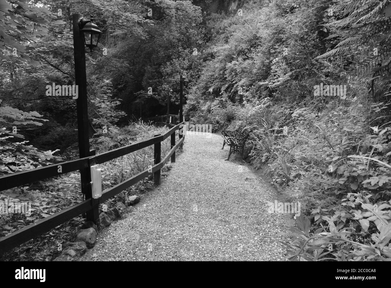 A country walk through the Shanklin Chine in the Isle of Wight Stock Photo
