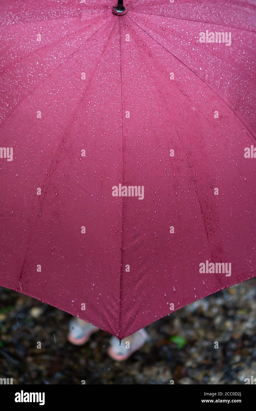 A purple umbrella with shoes under it Stock Photo Alamy