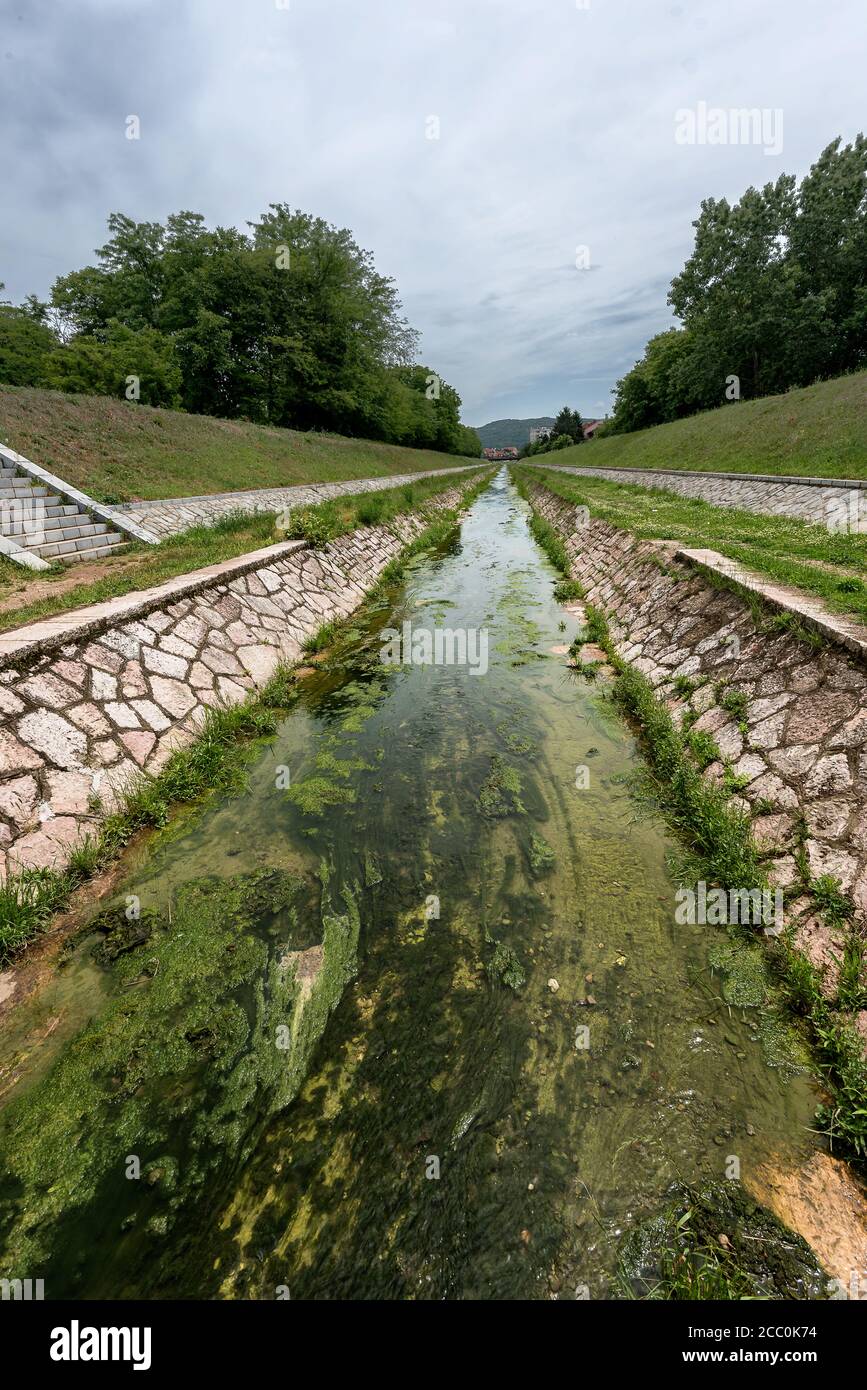 Conferva hi-res stock photography and images - Alamy