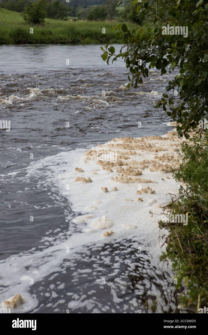 White foam pollution in a river contaminating the environment Stock Photo